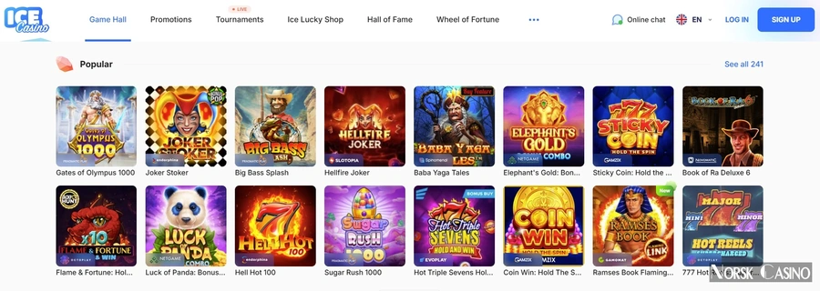 Betalingsmetoder og utbetaling hos Ice Casino